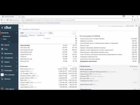 СБиС Отчетность. #10 Как найти организацию в сервисе СБИС Всё о компаниях и владельцах