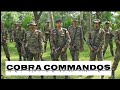CoBRA Commandos --the Jungle Warriors.