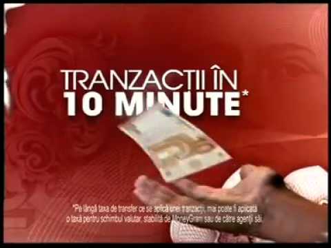 câștigând bani pe internet păsări supărate