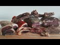 La charcuterie sèche