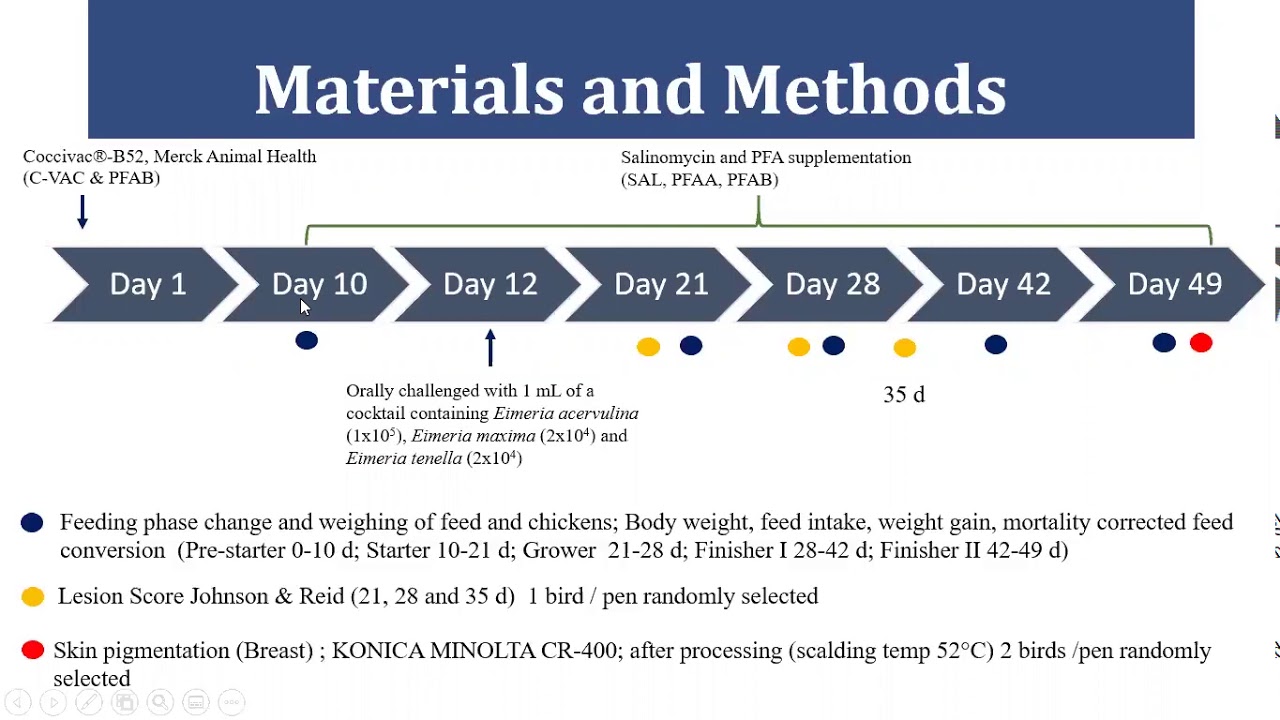 Evaluation of Anticoccidial Activity
