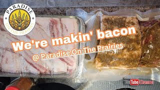 Today..... We're makin' bacon 🥰 at Paradise On The Prairies