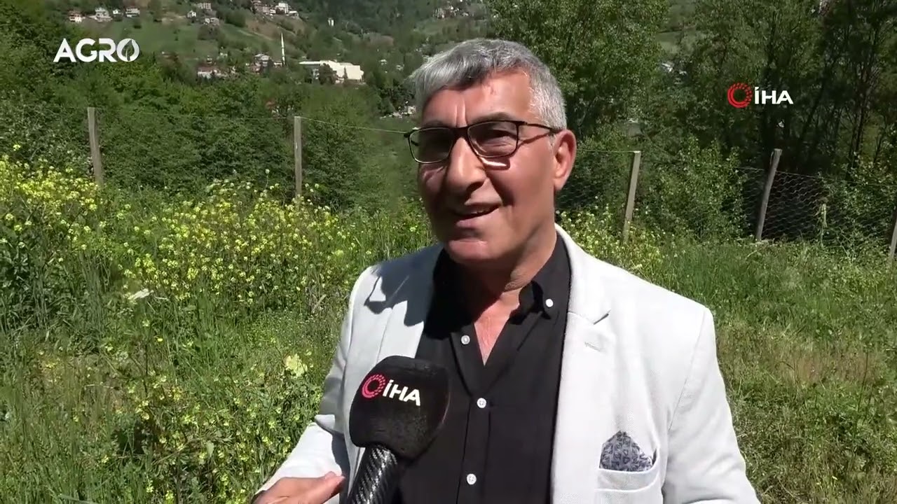 100 Metrekarede 400 Bin TL 1 Dönümde 4 Milyon TL! Kökünde Altın Var / AGRO TV HABER
