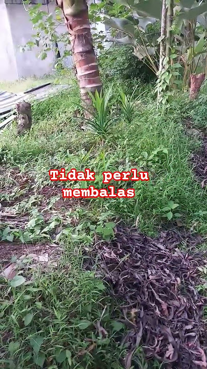 no need to reply #motivation #quotes #inspiration #wisewords #lifemotivation #mother'sprayer #isl...