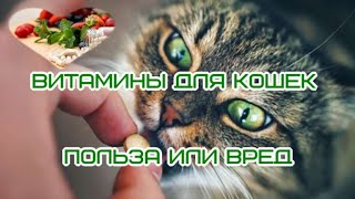 Витамины Для Кошек Польза Или Вред Vitamins For Cats Benefit Or Harm  Для Котів Користь Або Шкода