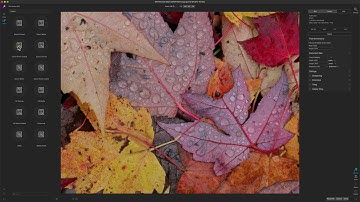 How to Enlarge Your First Photo in ON1 Resize 2021