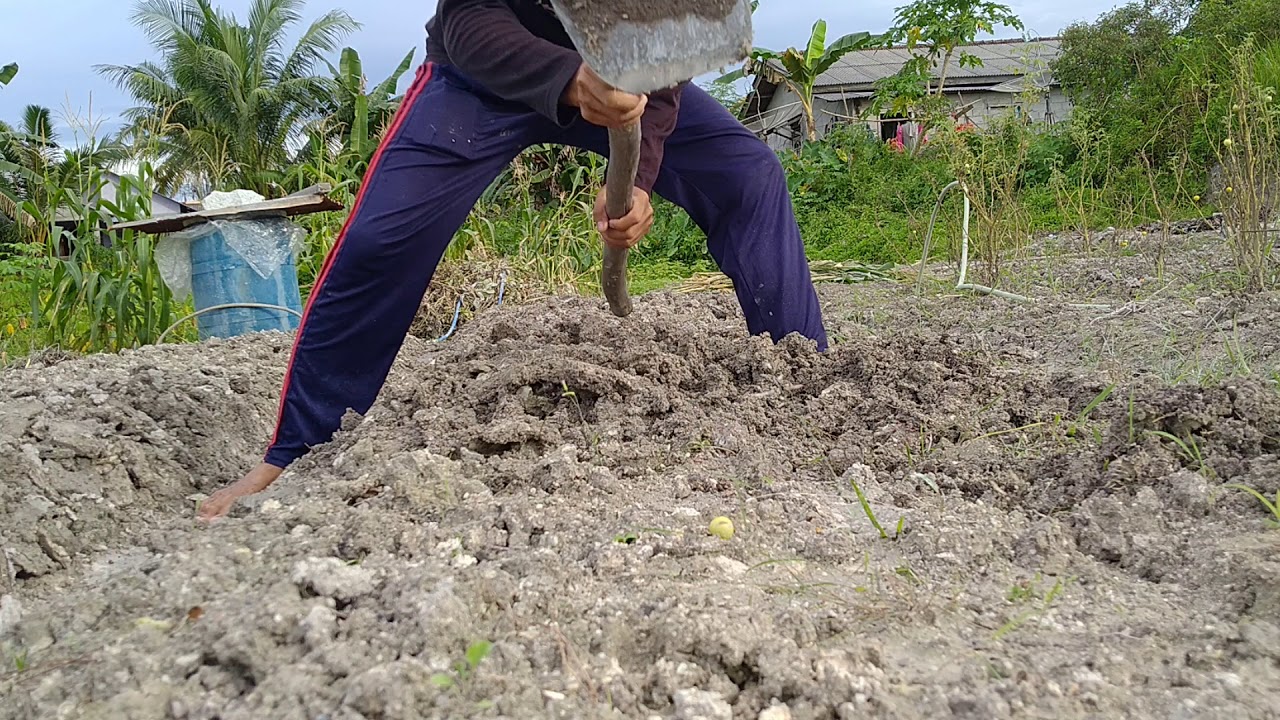 Cara membuat bedengan YouTube Cara membuat bedengan YouTube