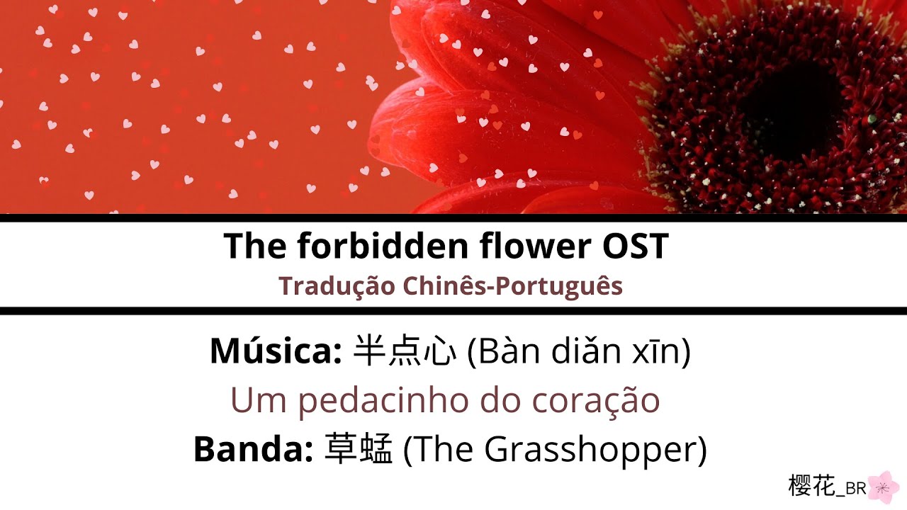 半点心/Um pedacinho do coração - 草蜢/The Grasshopper  The forbidden flower OST  lyrics [CN/PINYIN/PT-BR] 