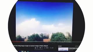 #Dragon #reallife  Top Viral Dragon caught on camera in Malaysia(2016) | in real life.