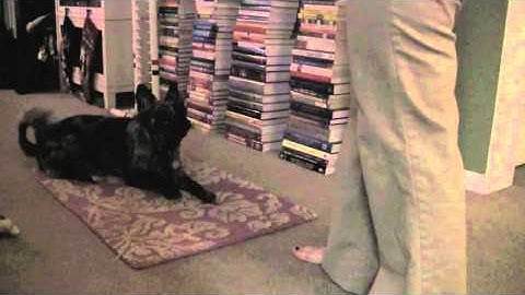 Relaxation Protocol from Dr. Karen Overall - Day #1