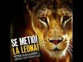 SE METIO LA LEONA-PETER MANJARRES. ( EXCLUSIVO WWW.LOSRIOHACHEROS.COM)