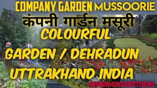Company garden mussoorie_कंपनी गार्डन मसूरी_dehradun colourful garden Dehradun Uttarakhand _vlog 6