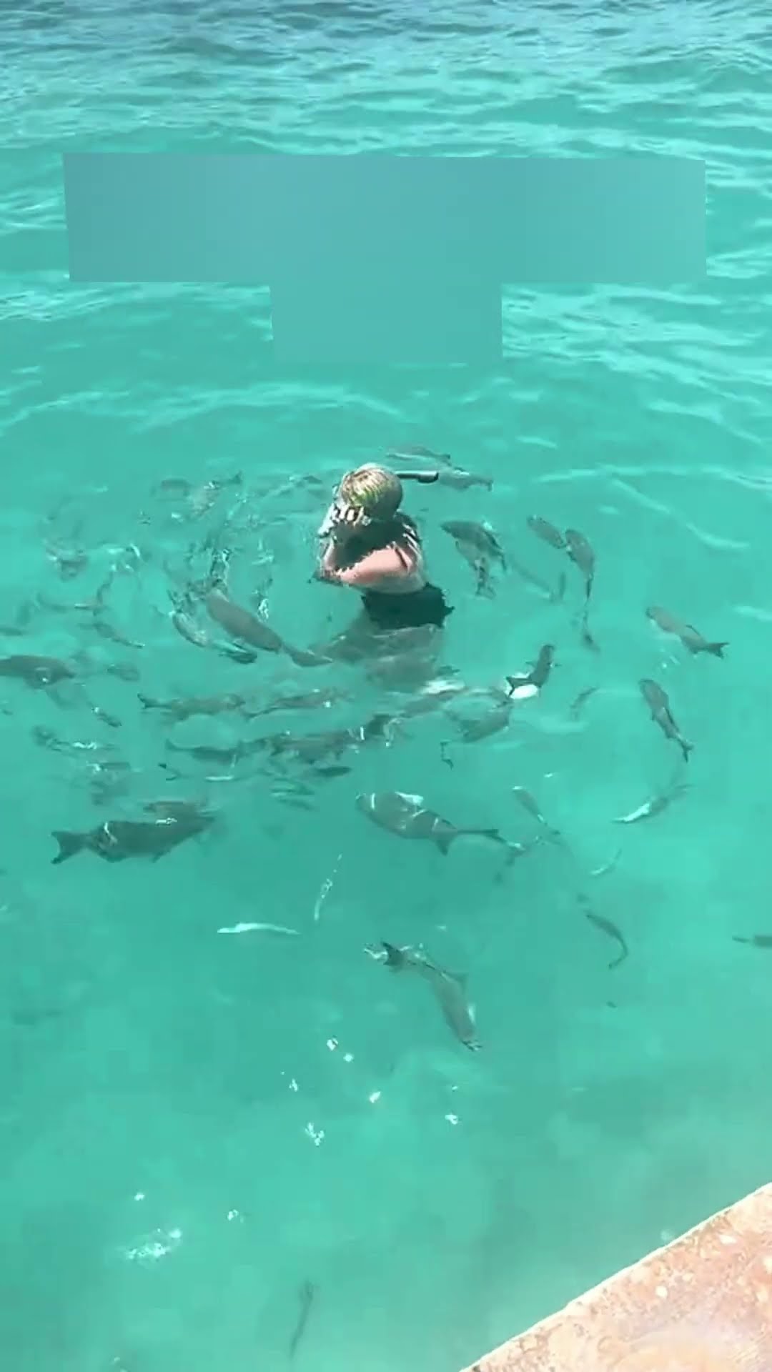 The girl jumped into the sea #shortvideo
