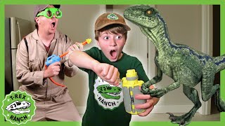 Baby Dinosaur in the House  Baby Raptor  TRex Ranch Dinosaur Videos