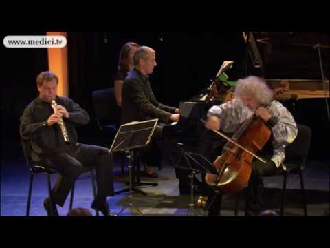 Mischa Maisky, Aleksandar Madzar, Alexei Ogrintchouk - Beethoven Piano Trio No. 4 Gassenhauer