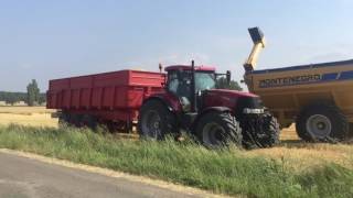 Moisson Dorge 2017