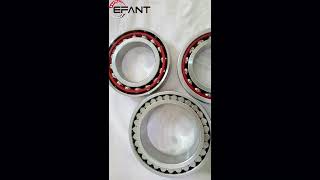 Double Row Cylindrical Roller Bearing