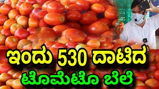 Today Tomato price in kolar karnataka idea news kannada ಪ್ರತಿ ದಿನ ತಪ್ಪದೆ ನೋಡಿ