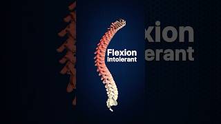 Famous The Key to Low Back Pain and Sciatica Recovery Net Worth