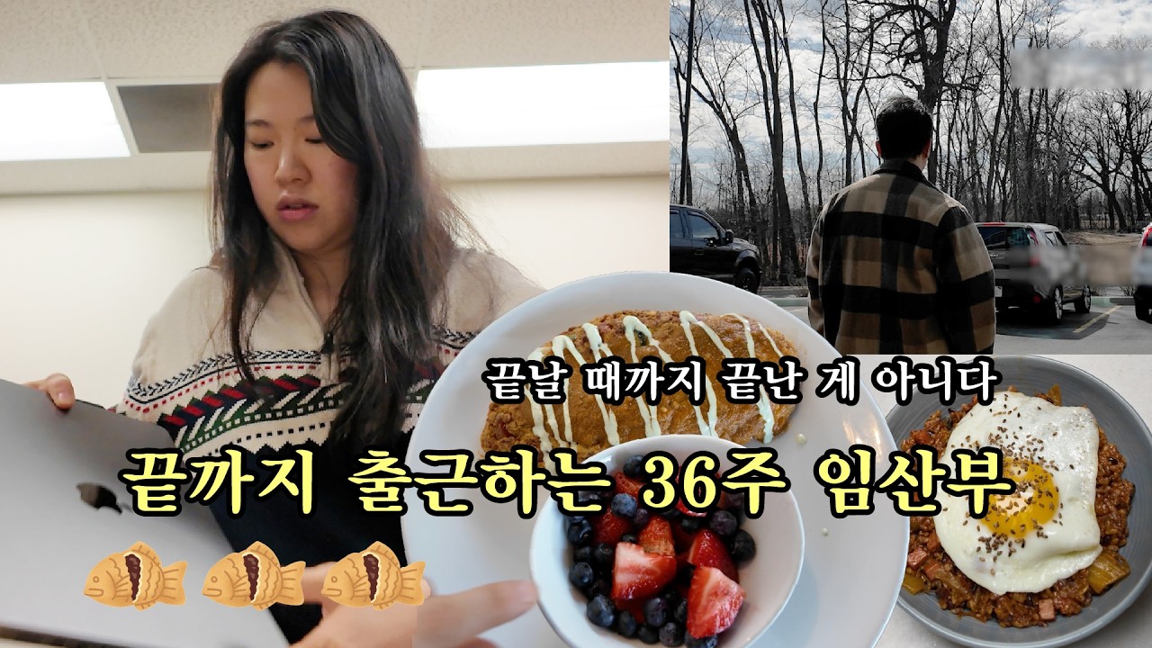 미국 브이로그-막달까지 출근하는  임산부