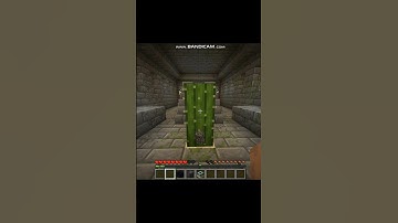 Cactus 💀 #kingbrine #minecraft #short #shorts #like #subscribe #youtube #views #memes #cactus