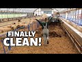 Cleaning & Preparing the SHEEP BARN for LAMBING!: Vlog 345
