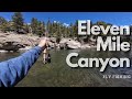 Epic twoday colorado fly fishing adventure in eleven mile canyon