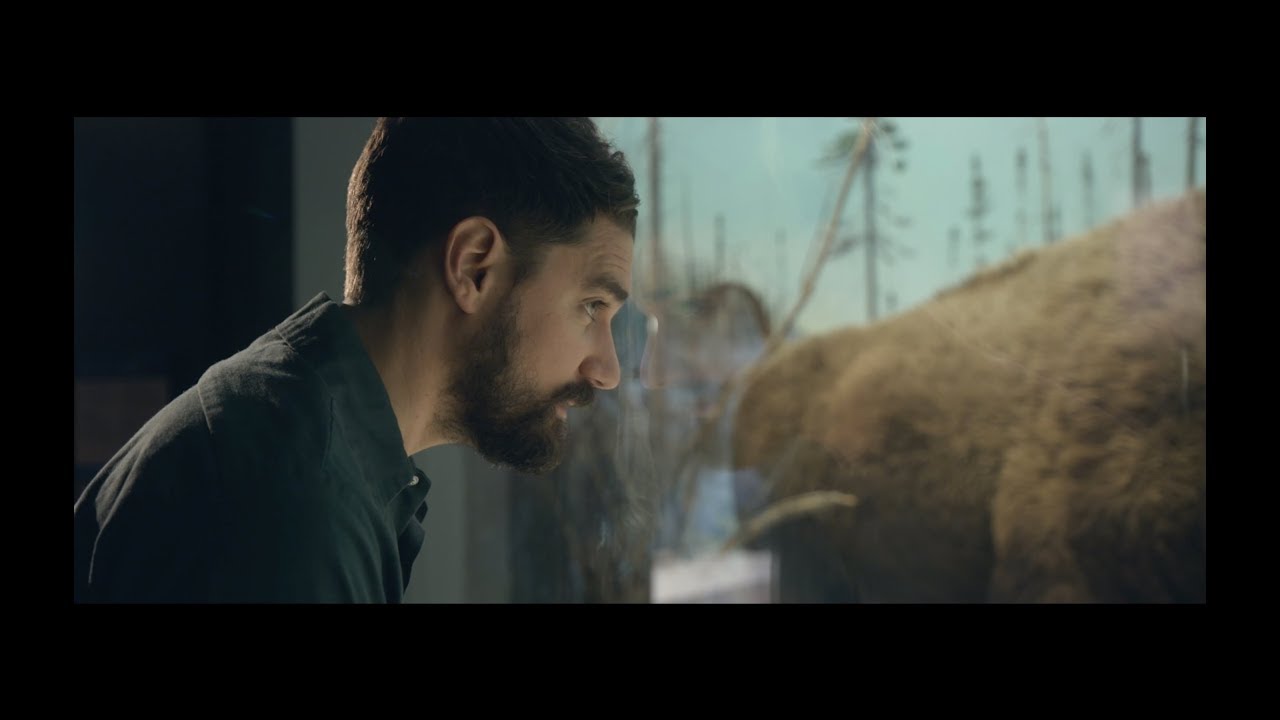 TIM BAKER - DANCE (OFFICIAL VIDEO) accords