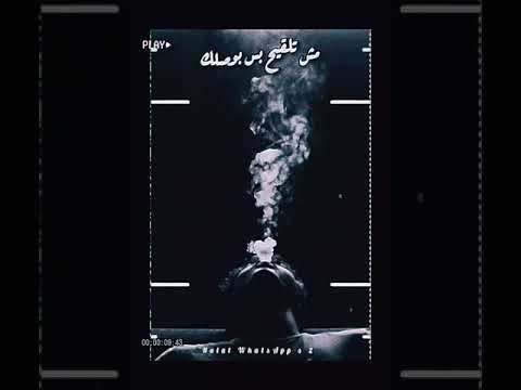 م تلقيح بس بوصلك كلمه اخويا خسارة تتقالك احمد موزه حالة واتس مهرجانات حالات واتس مهرجانات احمد موزه