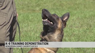 Henderson Co. Sheriff's Office K-9s demonstrate skills