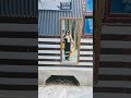 2000 walle aab 1200 ke suits🤑❤️ #womensclothing #womensfashion #trending #viral #shortvideo
