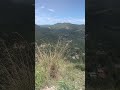 කොහොමද පොට් එක#viral #travel #nature #shorts #srilanka #video
