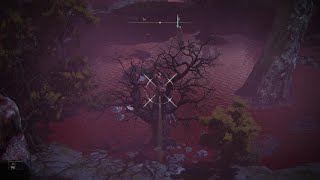 Elden Ring: Bird Kill Rune Farm in 2026