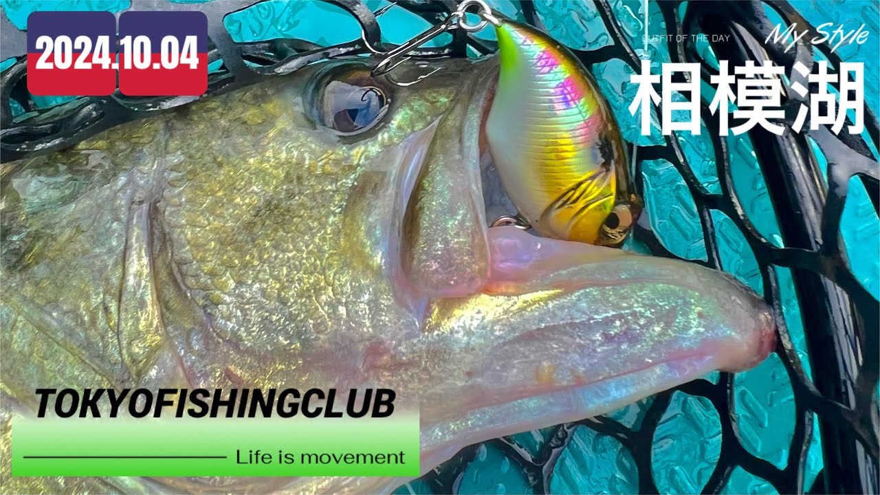 秋の相模湖バス釣り　2024.10.04