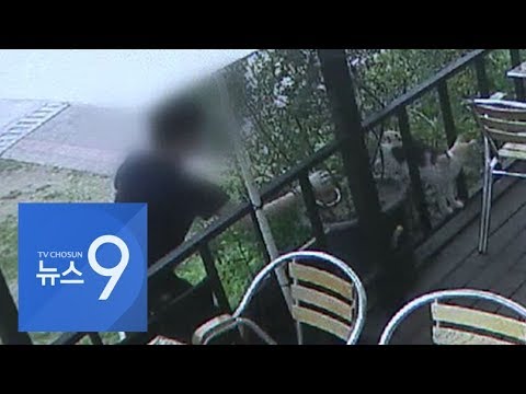 &amp;#39;경의선 고양이 살해&amp;#39; 남성 이례적 <strong>실형</strong>…<strong>법원</strong> &amp;quot;매우 잔혹&amp;quot;