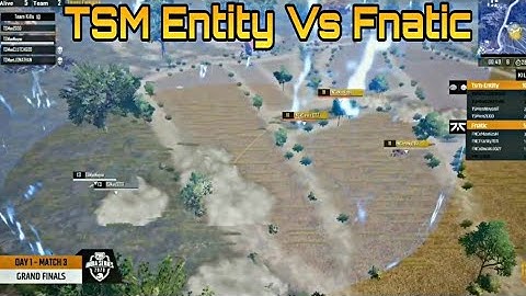 TSM ENTITY vs FNATIC In PMIS Final 2020