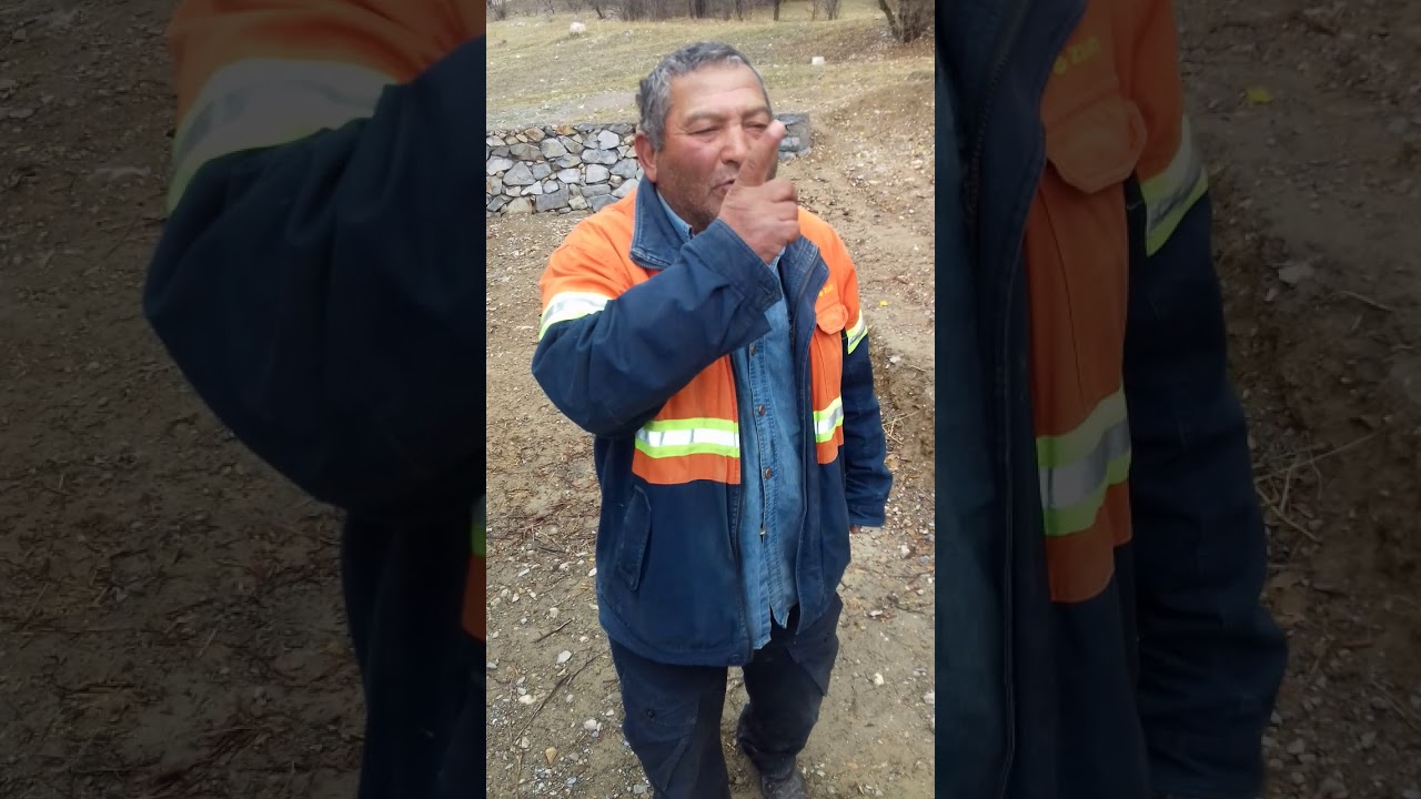 Холикули косатароши