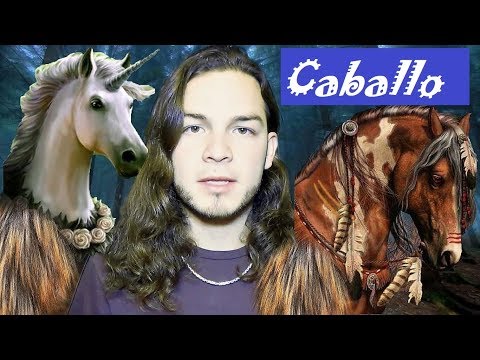 Video: ¿Qué significa caballos?