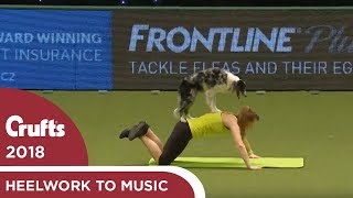 Dog gets a workout during Heelwork to Music | Crufts 2018