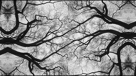 What is a Laboratory, that Cybernetics need escape it?