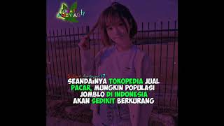 Story wa jomblo bucin || Cocofun lucu || 30 detik dj tiktok viral terbaru