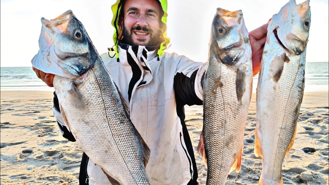TRIPLETE DE LUBINAS A SURFCASTING PESCANDO CON LISAS VIVAS