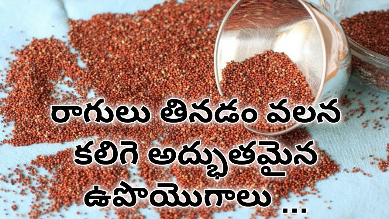 Ragulu Jowar Helps In Reducing Fat-Telugu food and diet news