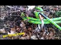 How to RIP OUT Shrubs FAST by Ropes Trucks Carabiners - Landscaping - Lawn Care