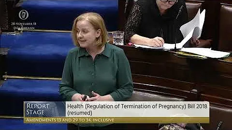 Deputy Ruth Coppinger - Government Business - 28.11.2018