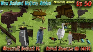 New Zealand Natives Animal Addon for Minecraft Bedrock Minecraft PE Minecraft Animals Episode 50 screenshot 4