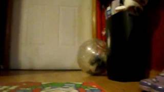 DSCF6669.AVI