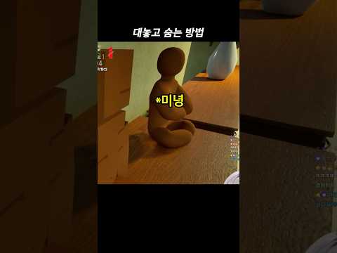 대놓고 숨는 방법(메챠 카멜레온)#shorts