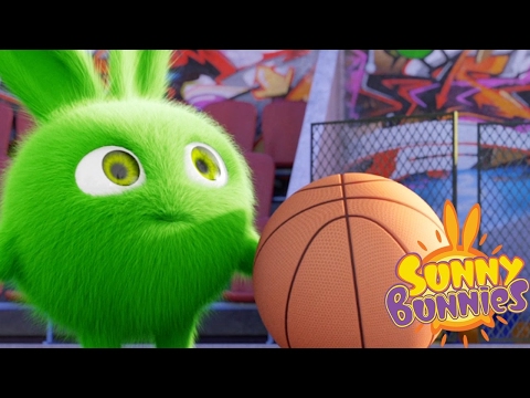 cartoons-for-children-|-sunny-bunnies-the-sunny-bunnies-play-basketball|-funny-cartoons-for-children