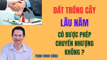 Đất trồng cây lâu năm có được phép chuyện nhượng không | Trịnh Minh Dũng